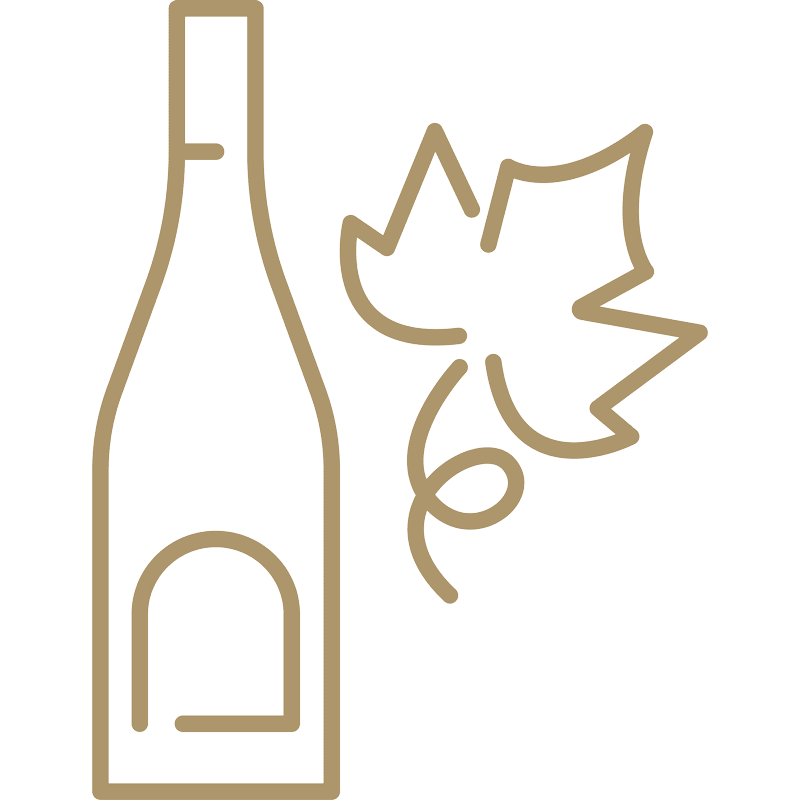 Eine einfache braune Strichzeichnung einer Weinflasche neben einem Traubenblatt auf hellem Hintergrund.