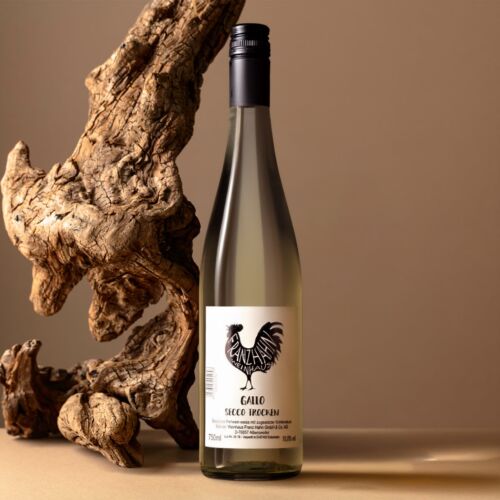 Eine Flasche des Weißweins Lanzahen Gallo Secco Ippocrini steht aufrecht auf einer beigen Fläche neben einem großen, strukturierten Stück Treibholz vor einem neutralen Hintergrund.
